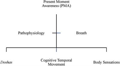 Ayurvedic protocols of chronic pain management: spatiotemporality as present moment awareness and embodied time